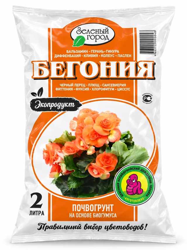 Бегония
