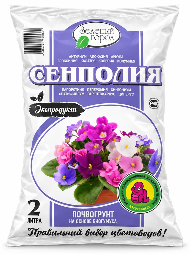 Сенполия