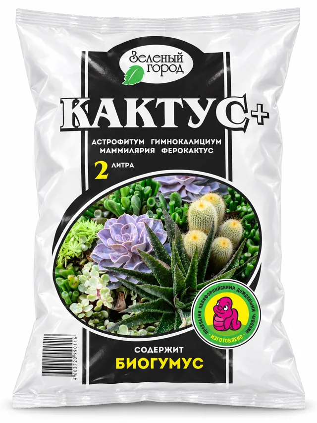 Кактус+