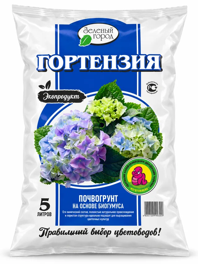 Гортензия
